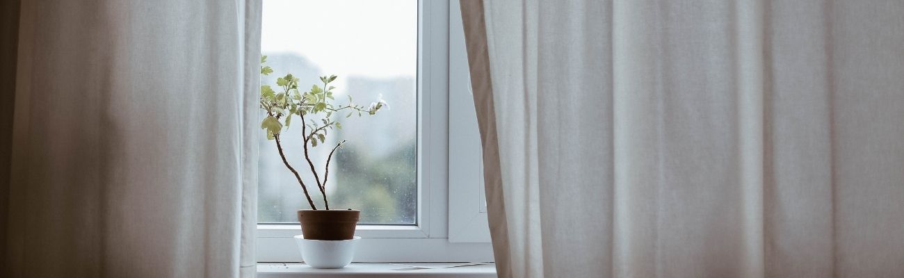 Flower in Hospital Banner