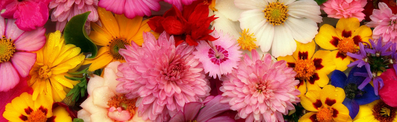 The art of flower arrangements
