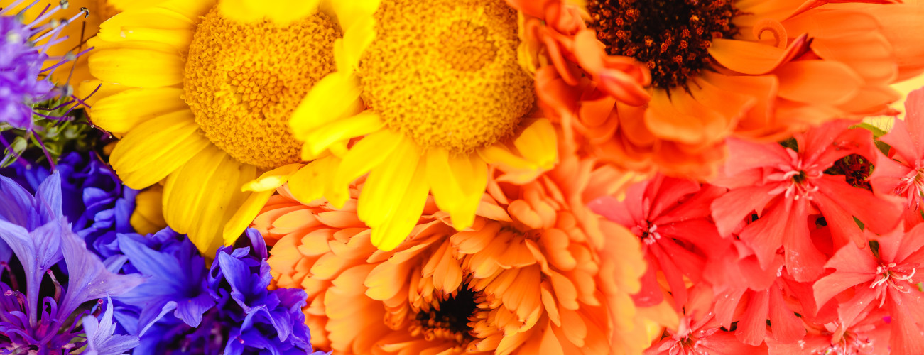 Pride Month – Petal Pioneers
