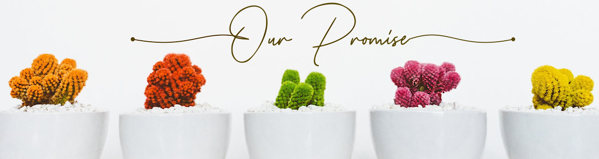 We Promise Logo