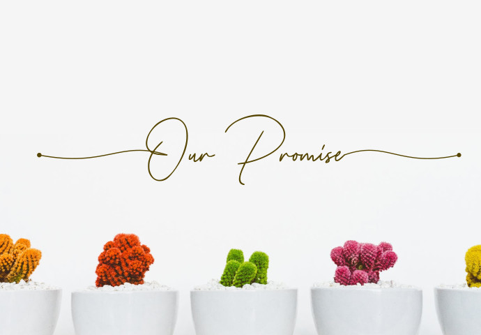 We Promise Logo